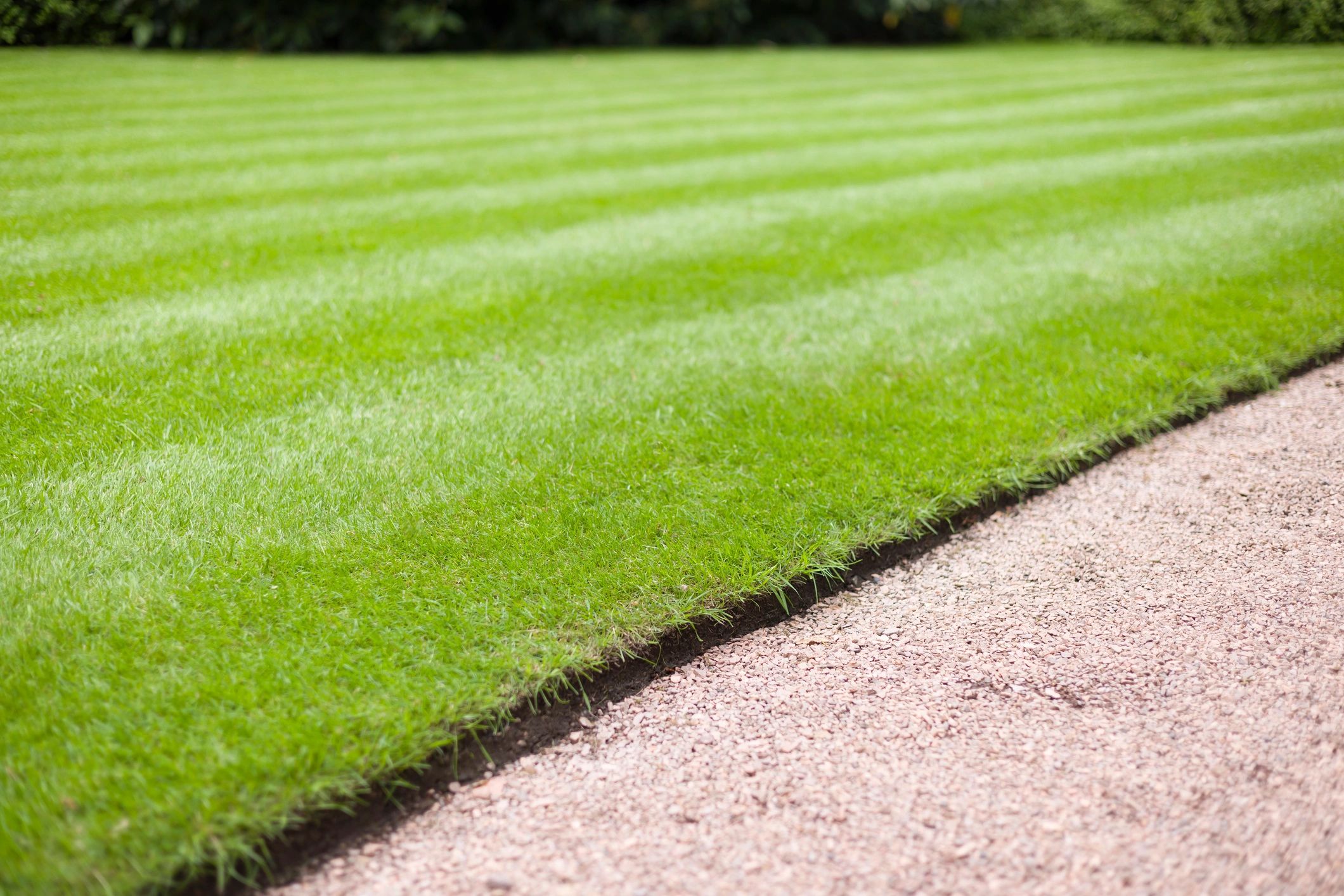 Manicured lawn with crisp edging
