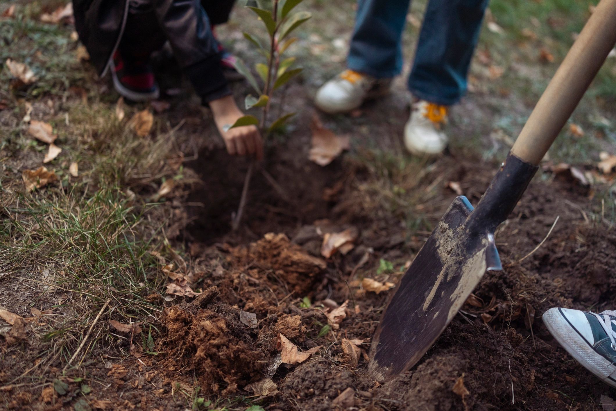 Garden bed work with shovel and soil